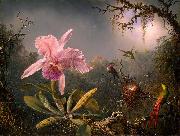 Martin Johnson Heade Cattleya Orchid and Three Hummingbirds oil painting picture wholesale